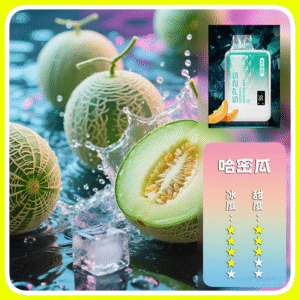 SP2S思博瑞GEM9000口一次性拋棄式電子煙【哈密瓜】
