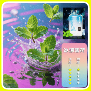 SP2S思博瑞GEM9000口一次性拋棄式電子煙【冰薄荷】