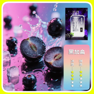 SP2S思博瑞GEM一次性拋棄式電子煙9000口【黑加侖糖果】